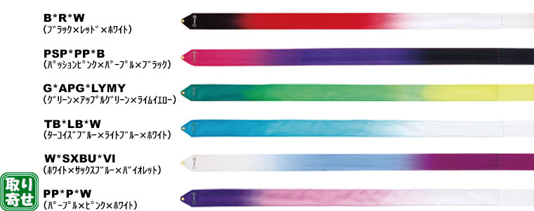 �T�T�L�@�n�C�s�b�`�O���f�[�V�������{��