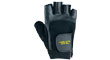GOLD'S GYM EXU[O[u
